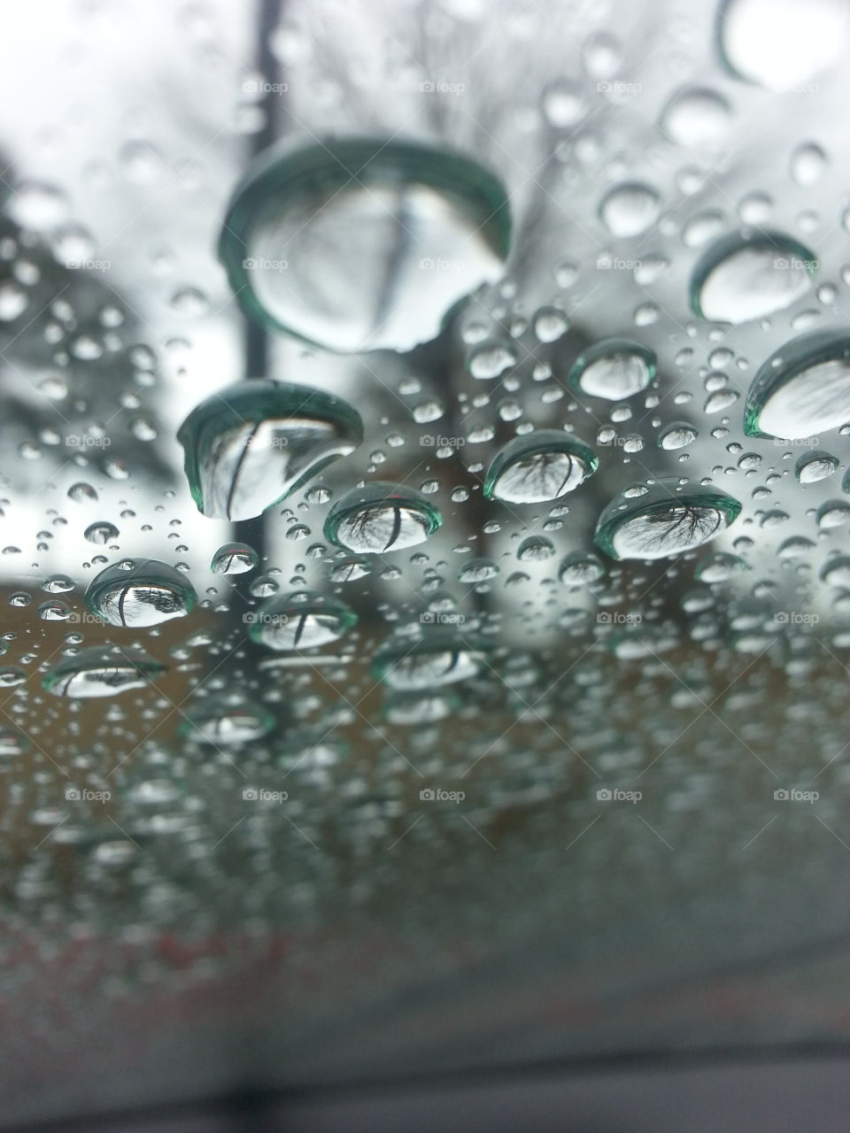 Drop, Wet, Rain, Bubble, Droplet
