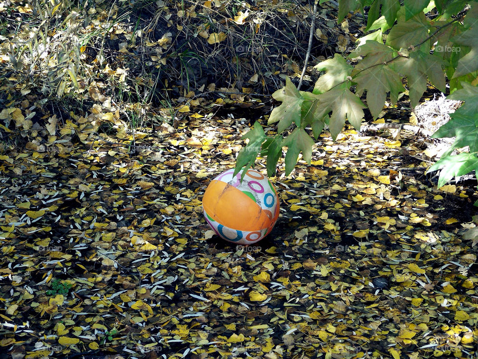 green summer leaves autumn by kenglund