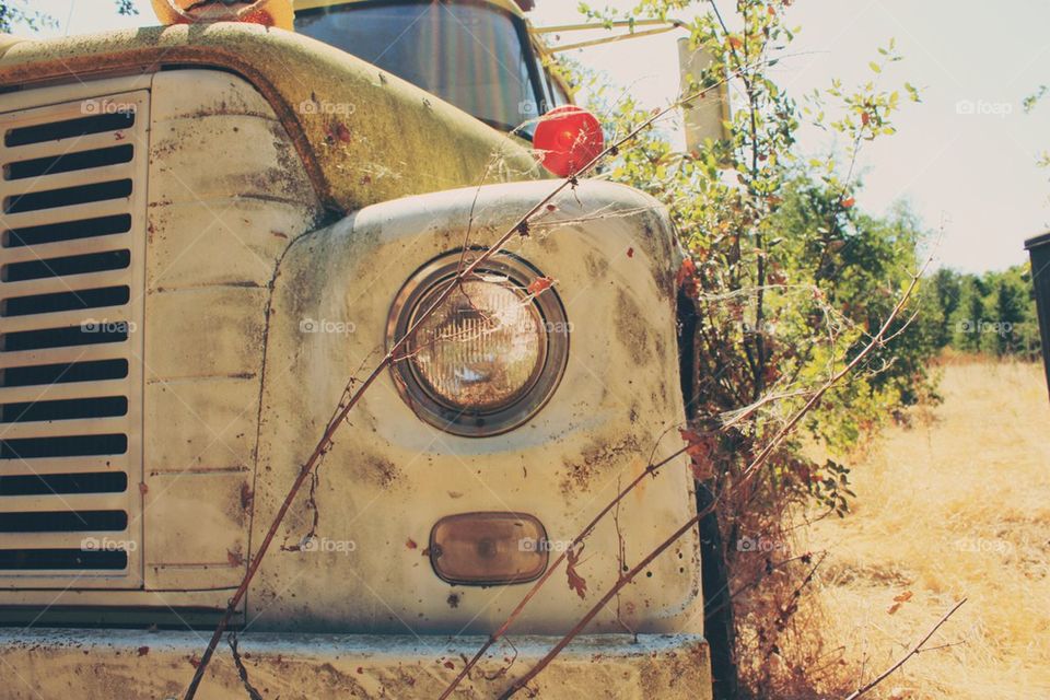 Stuck in your headlights