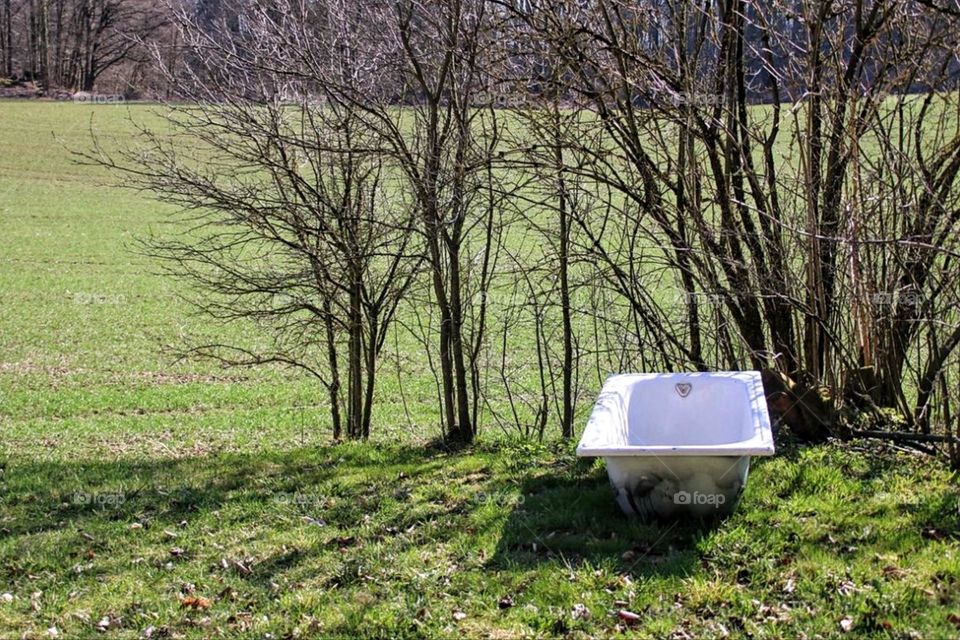 A white bathtub stands in nature in a green meadow between bare trees in early spring 