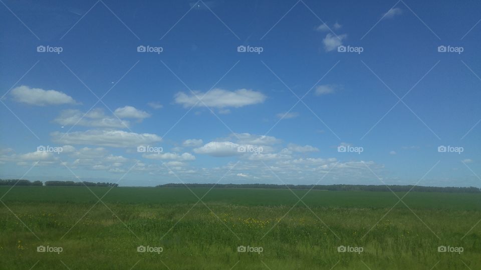 Landscape, No Person, Sky, Cropland, Agriculture