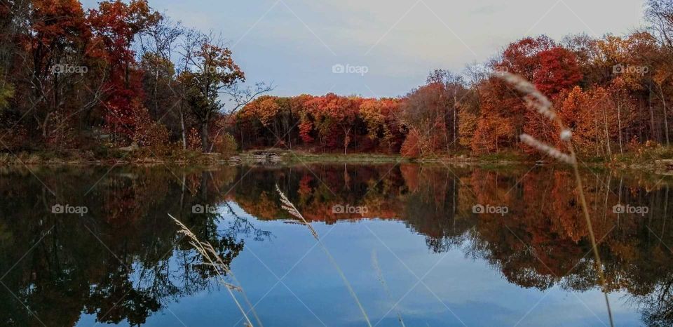 A Lake in Fall