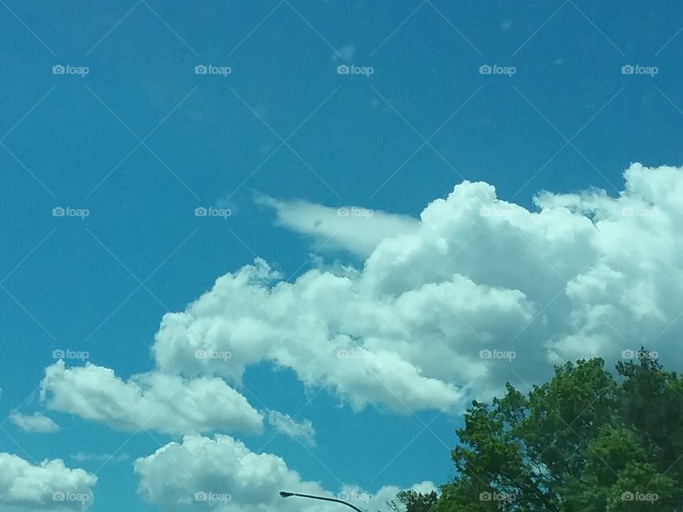 Puffy white clouds.