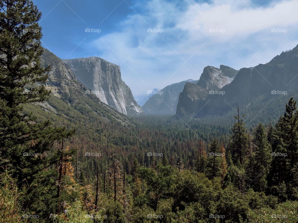 A view from Yosemite National Park