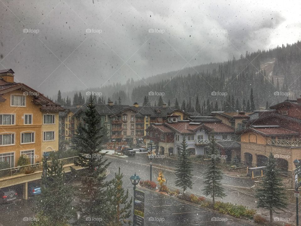 Beautiful winter wonderland 