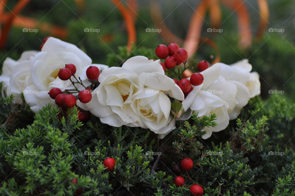 Beautiful white roses flower crown