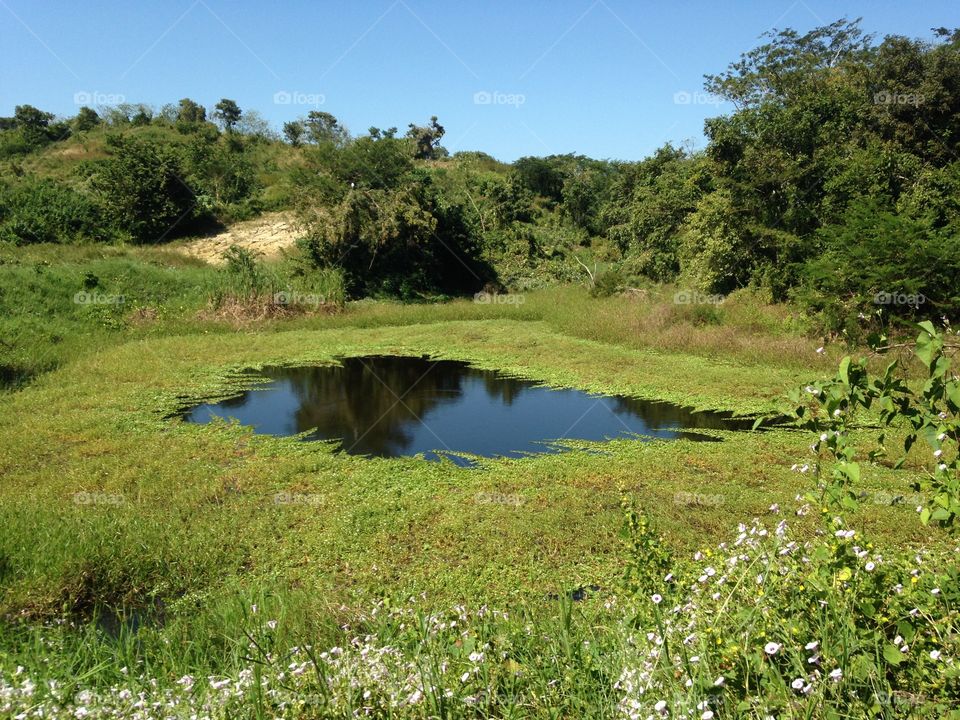 Nature, water