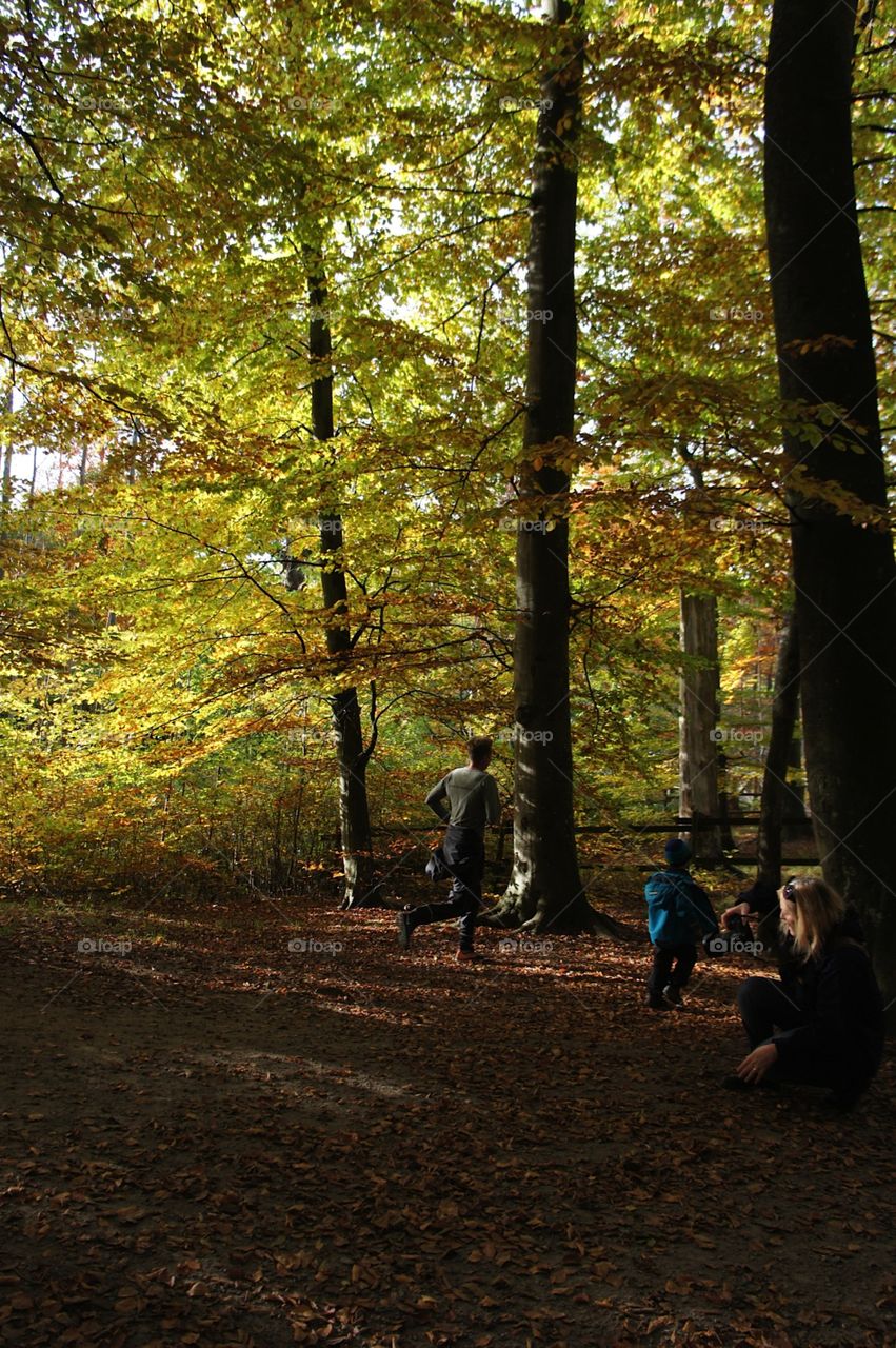 Playing in the Woods 