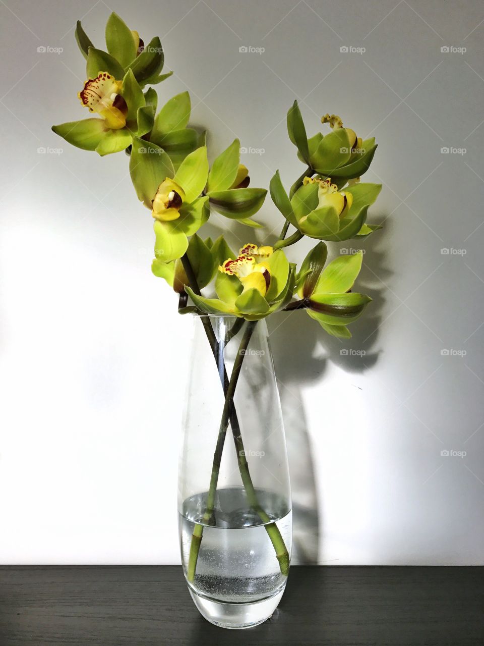 Orchids in a transparent vase 