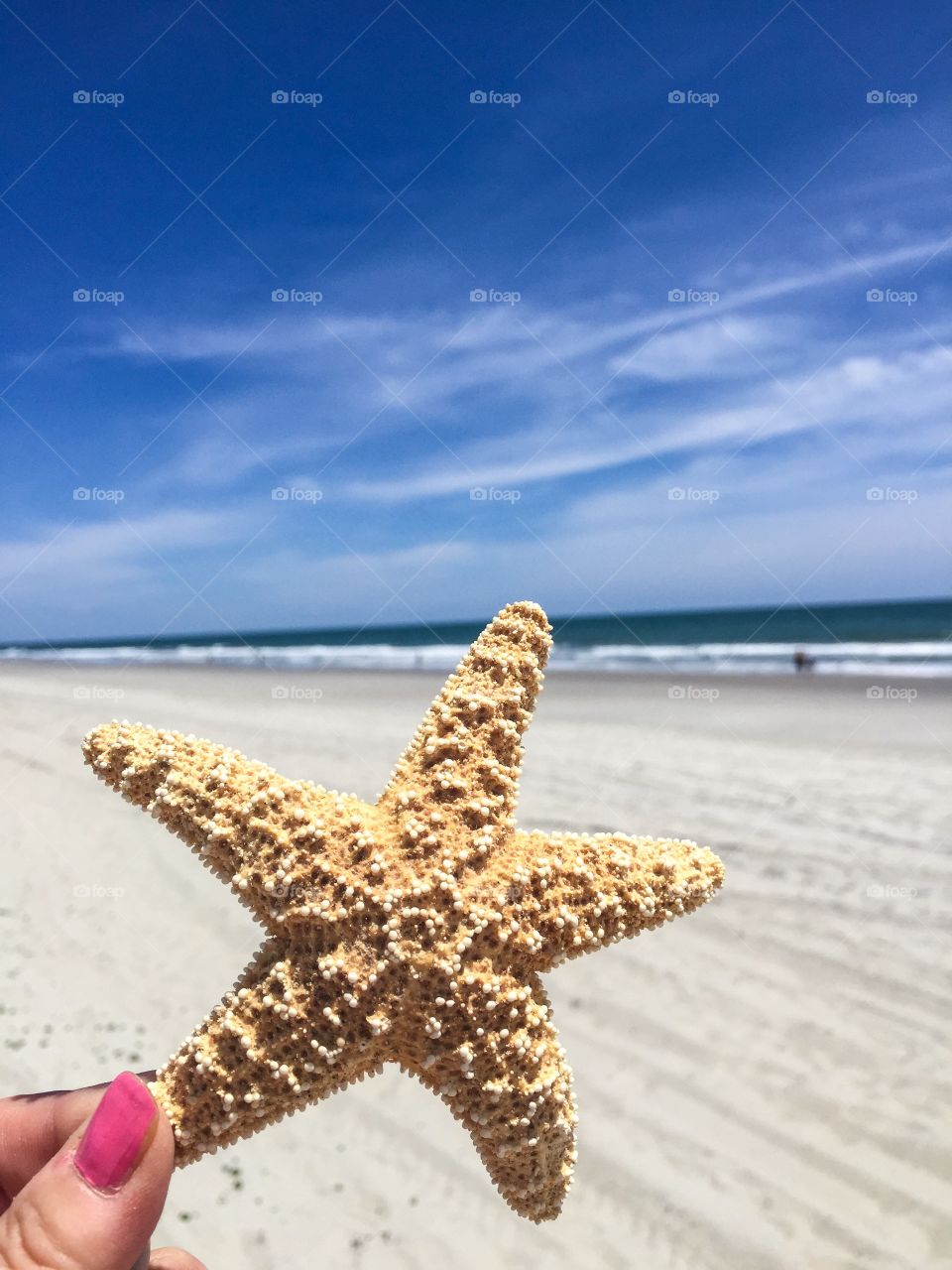 Starfish. Starfish at the beach on a summer day