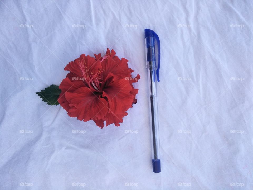 flower, pen, leaf