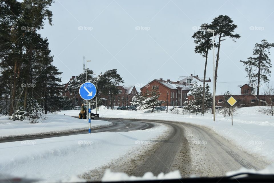 Snow, Winter, Tree, Cold, Road