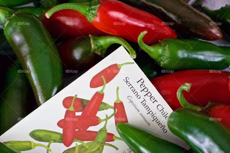 Red and green Serrano chile peppers and their seed packet 