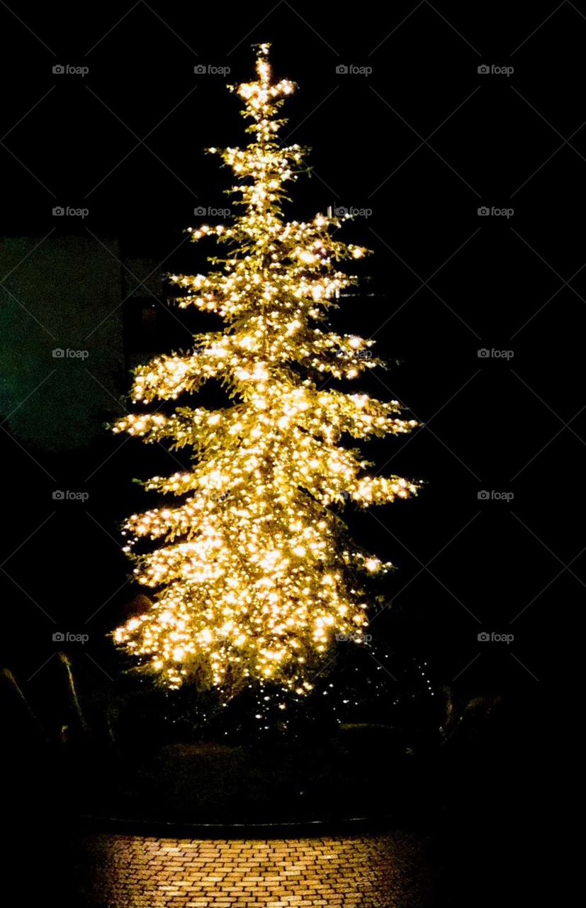 Weihnachtsbaum in goldenem Glanz