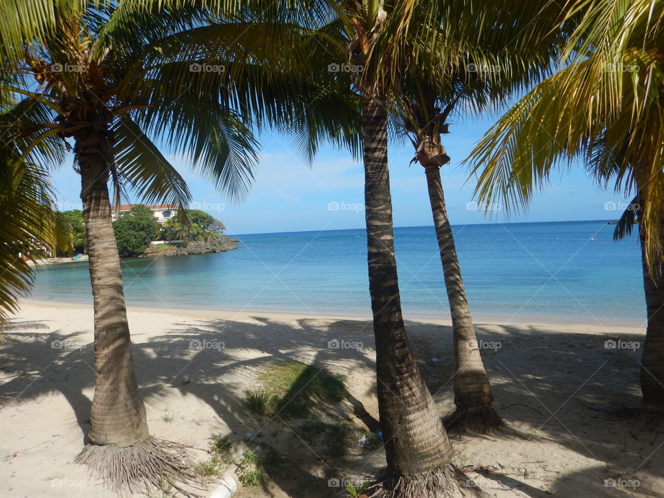 Let The Vacation Begin