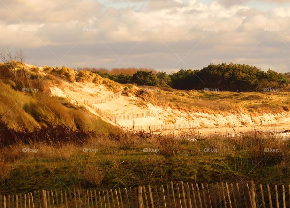 seaside landscape