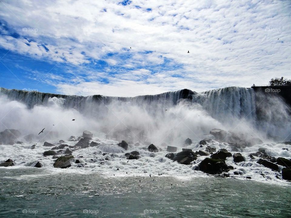 Birds flying at Niagara falls