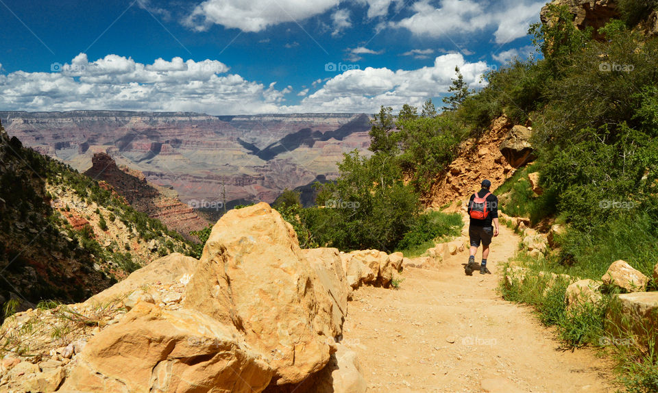 Trail in the Grand Canyon