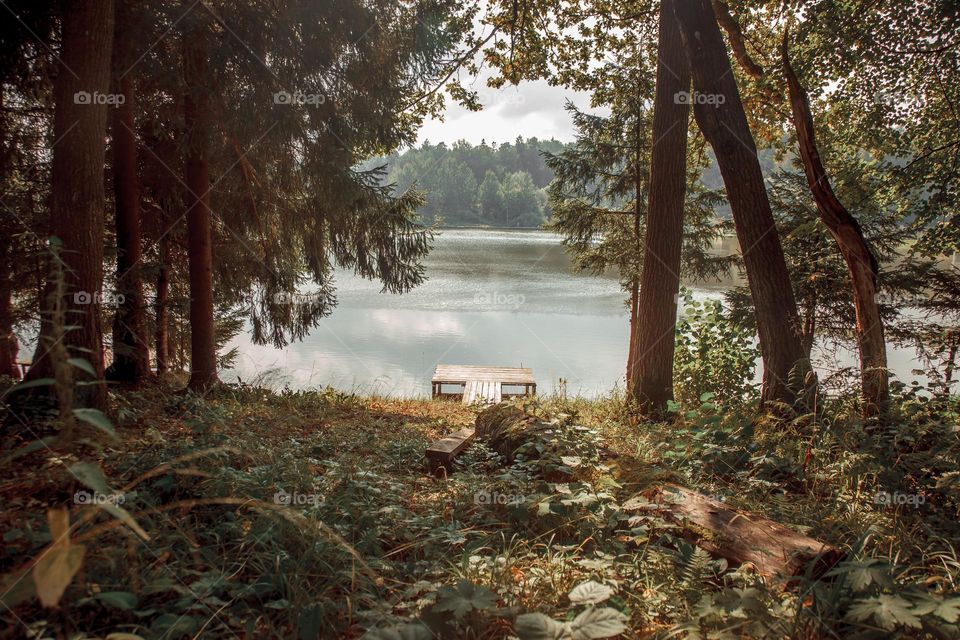 Summer landscape with pond