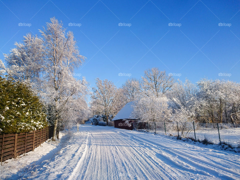 beautiful country road in snowy winter