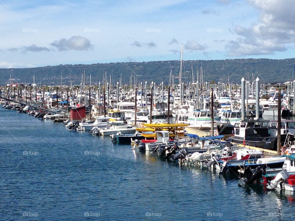 Homer harbor