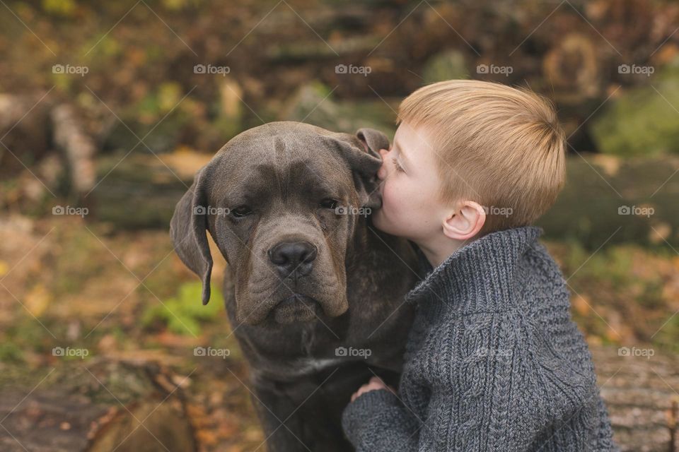 people walking dogs on the street, walking on the street, pet and his owner, best friends