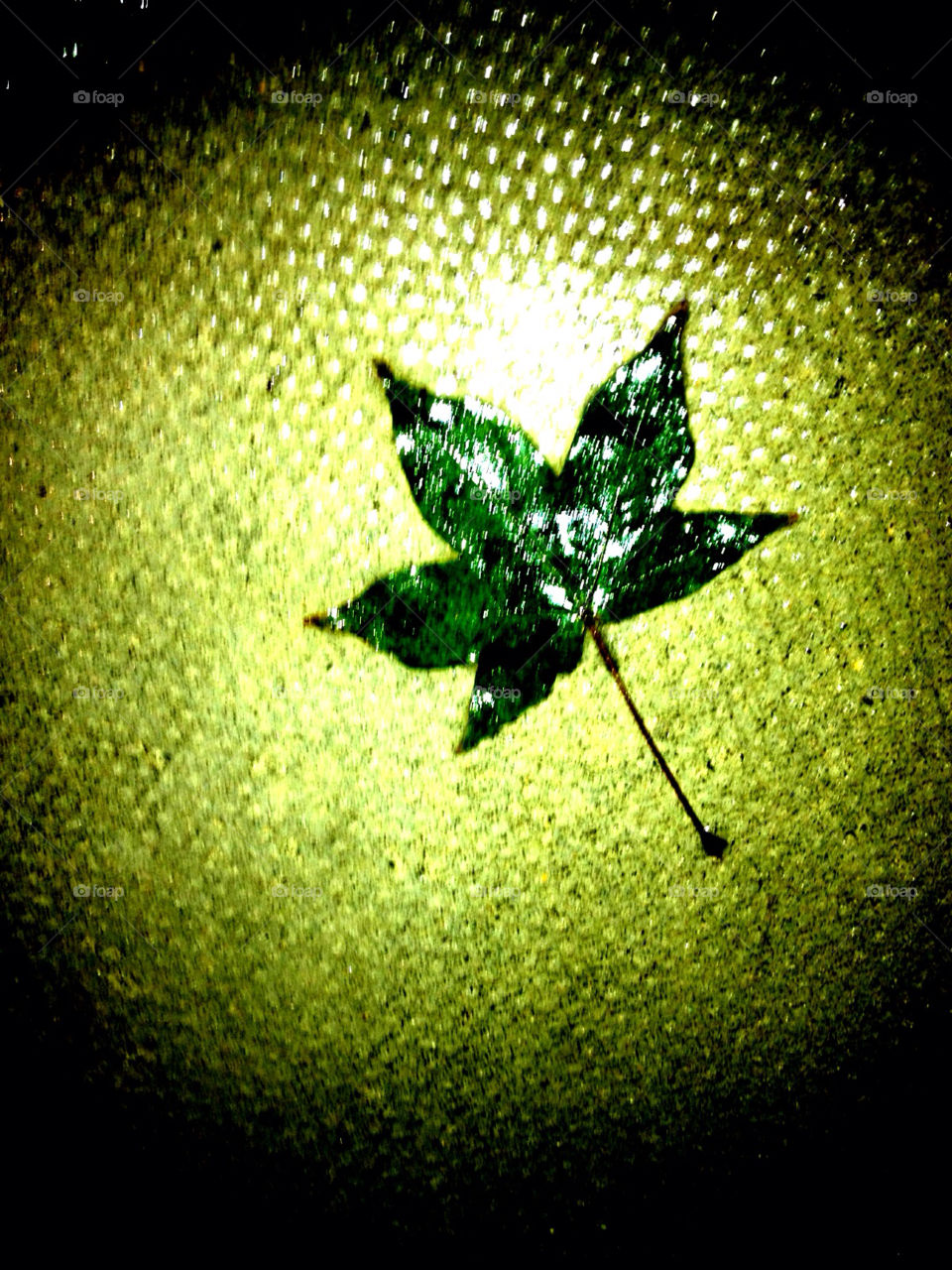 green reflective leaf on wet london pavement london by kikicheeky