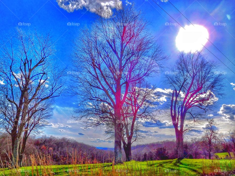 Beautiful sun in the country 