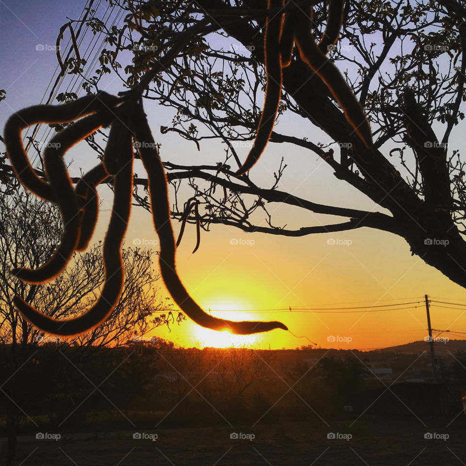 🌄 #Entardecer que nos traz motivação!
Como não se inspirar com a beleza da #natureza?
📸 🌗 
#FOTOGRAFIAéNOSSOhobby
#fotografia #sol #sun #sky #céu #nature #horizonte #paisagem #landscape #inspiração #mobgrafia #XôStress