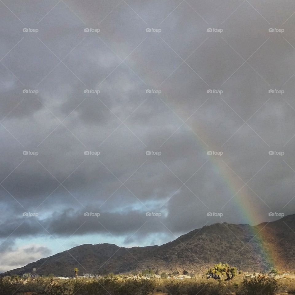 Desert Rainbow