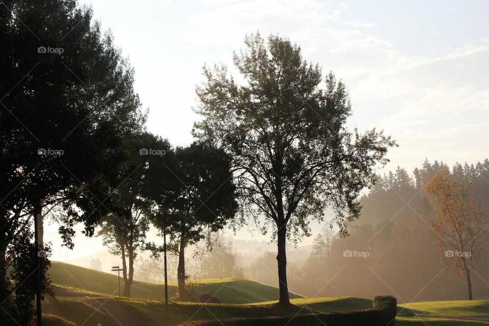 morning light and fog in the morning