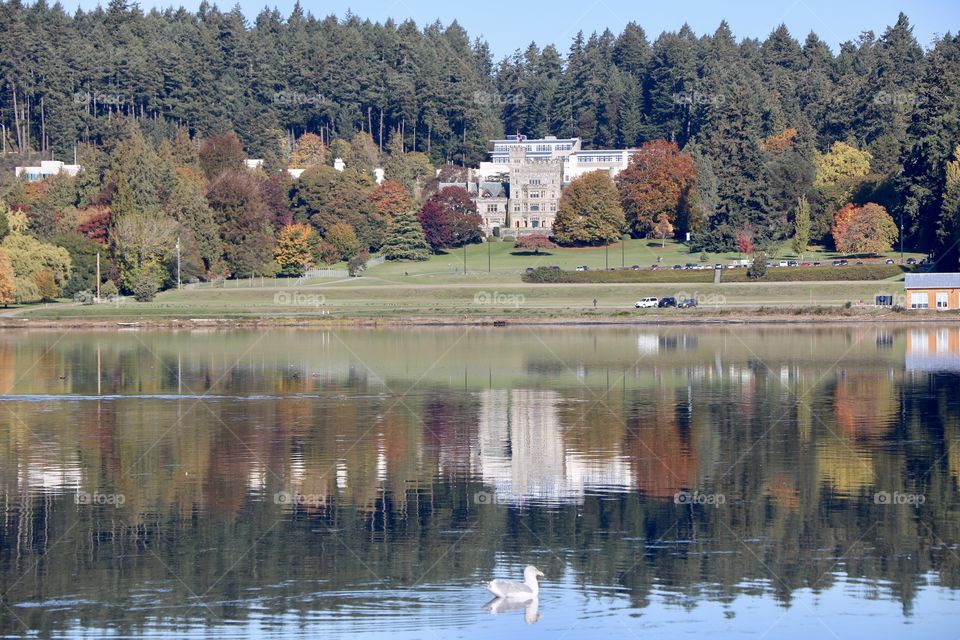 Castle in the woods in fall with trees reflecting their colourful leaves in the lagoon 