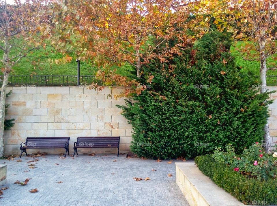 rest zone зона отдыха