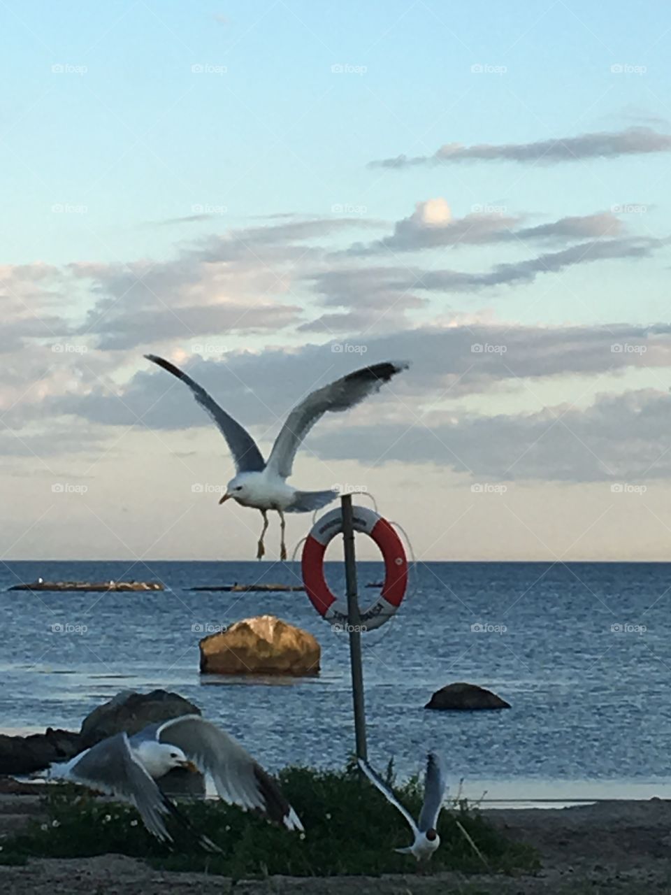 Anyone needs help...