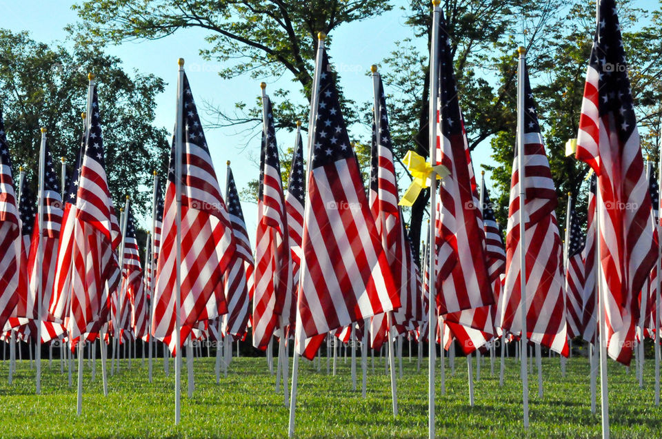 Flags