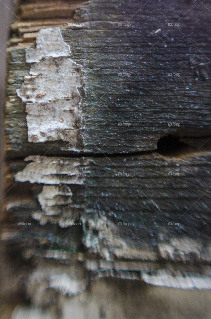 wood and paint