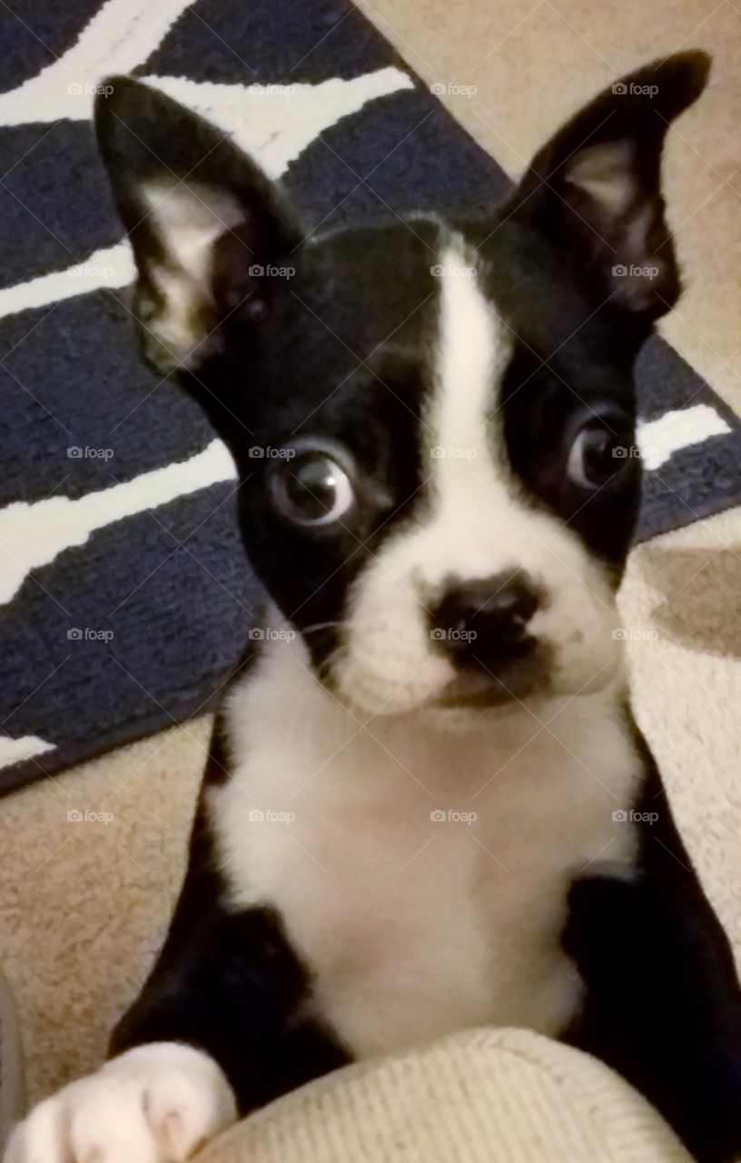 What was that? A wrapper?