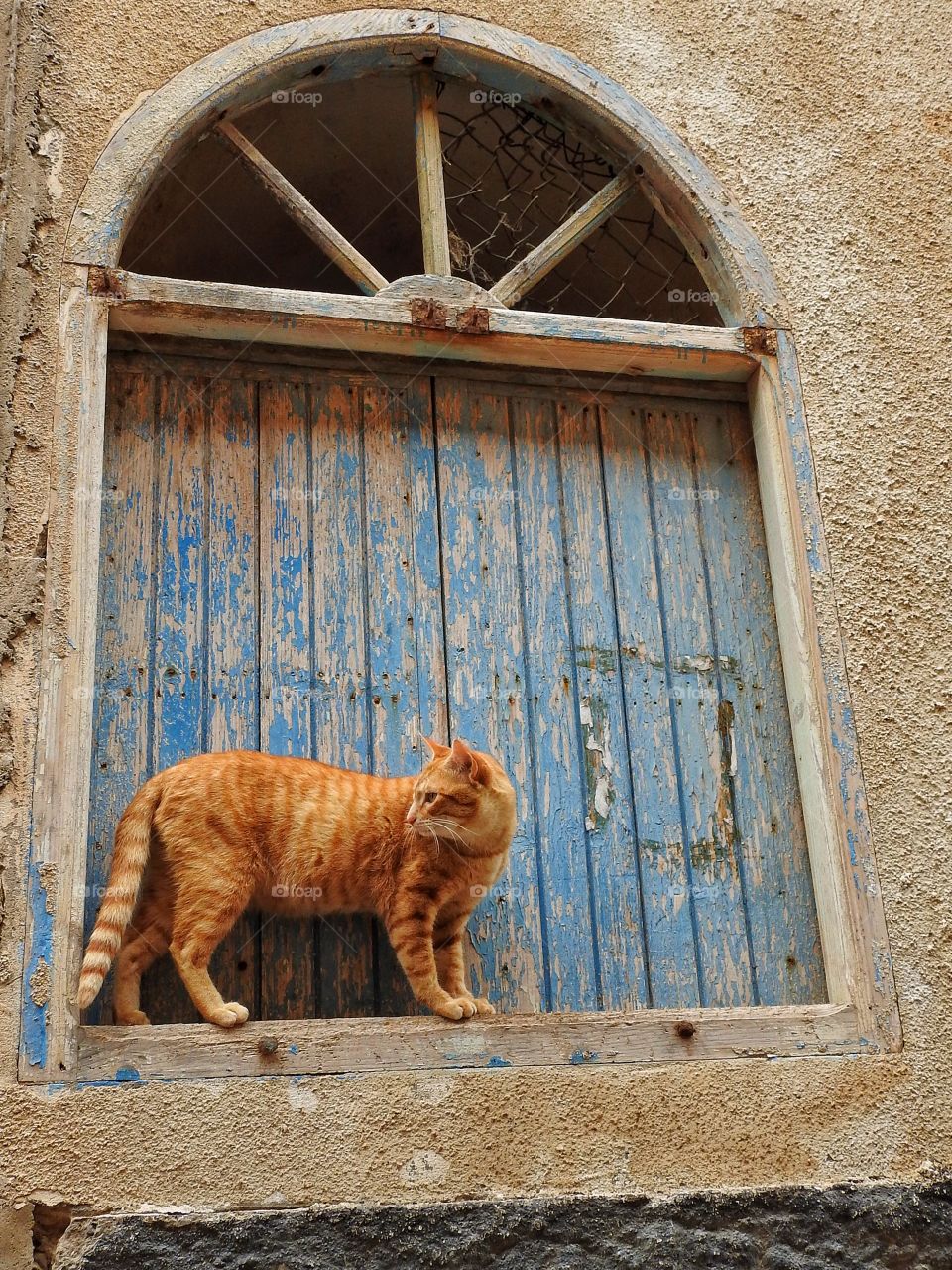 Checking out the neighborhood 