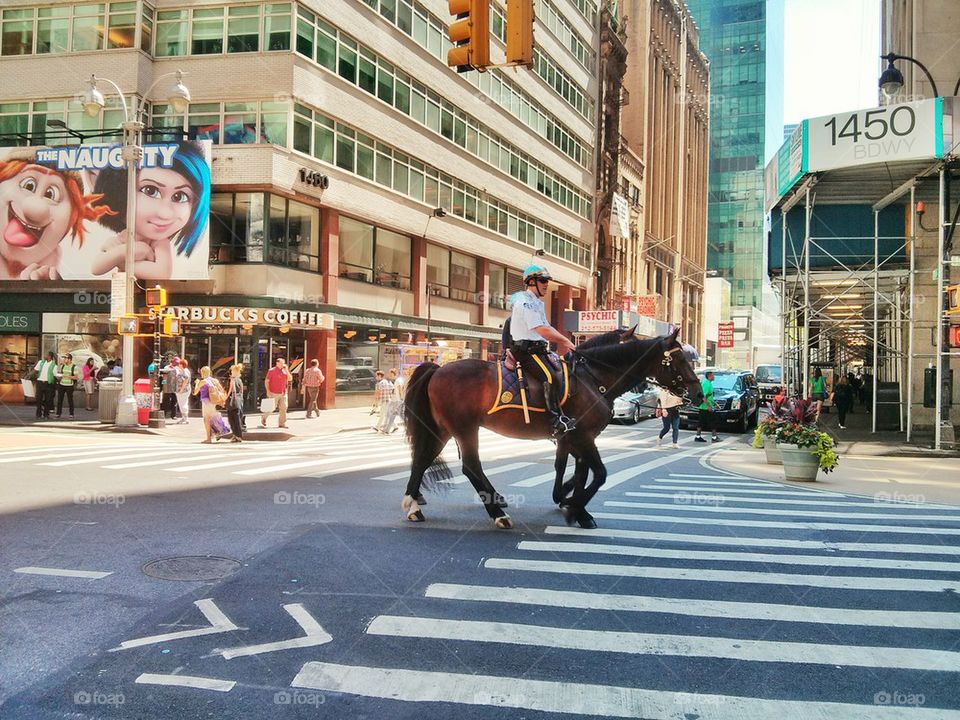 NYC Police Horse