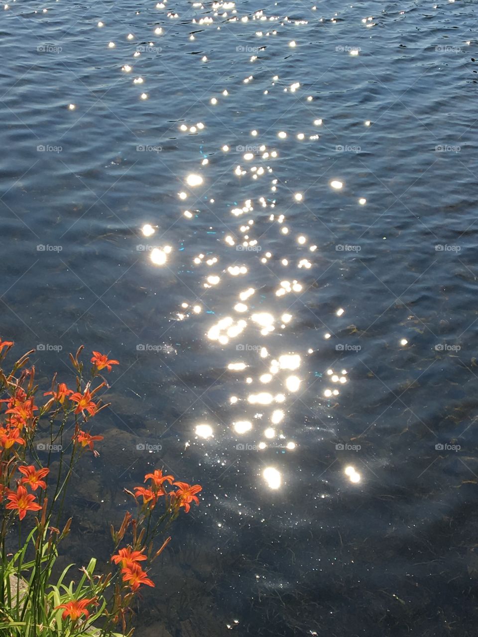 Sparkling stars on the water