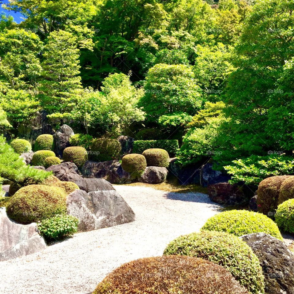 Mimroto Japanese garden