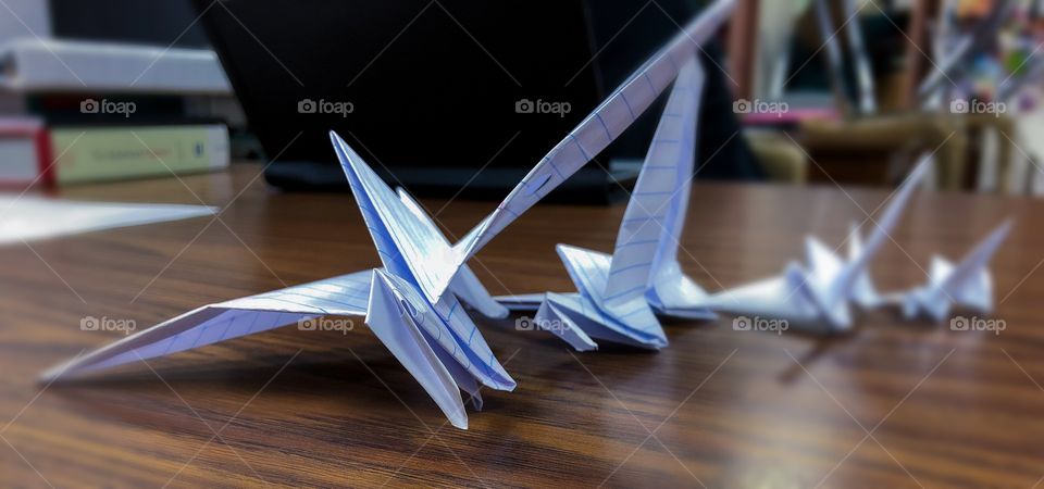 A small collection of origami paper cranes, crafted during a school photography class. 