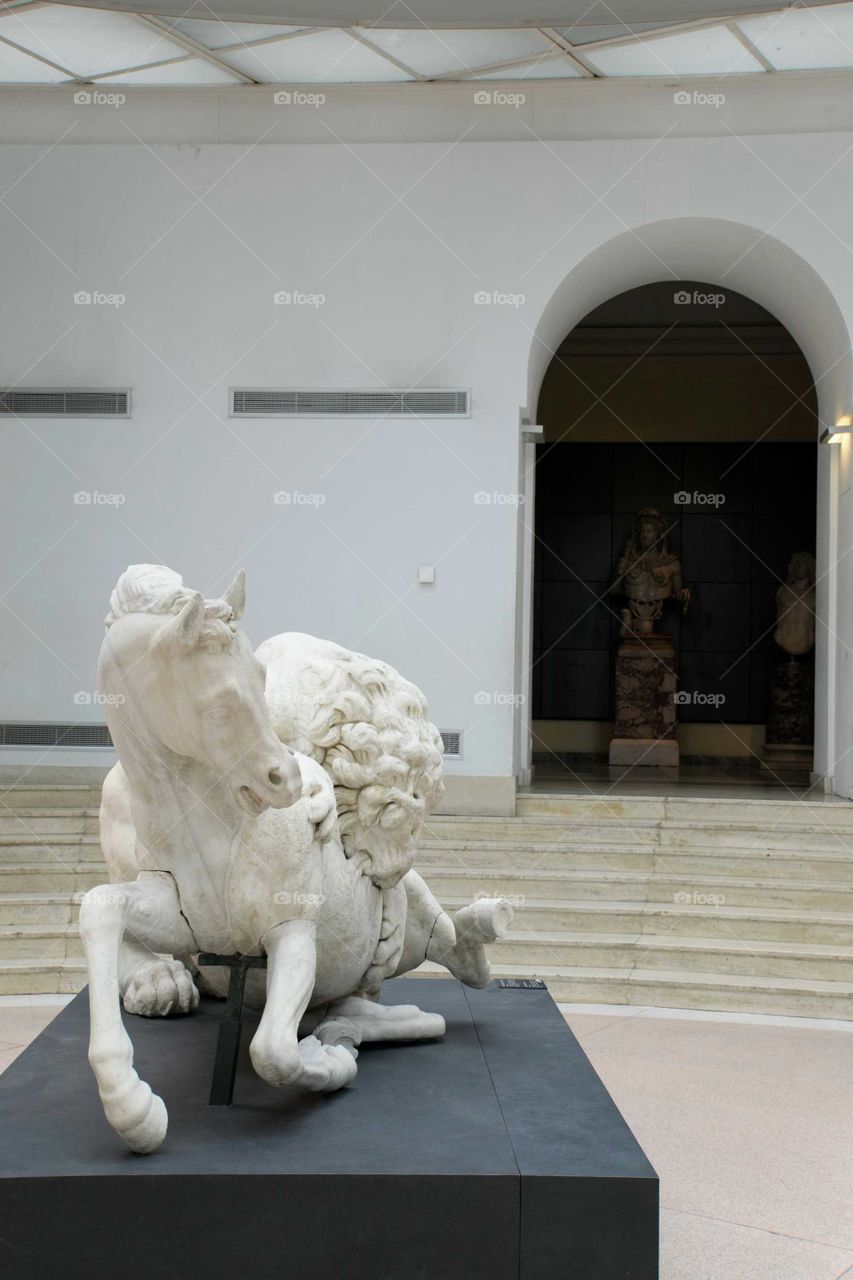 Lion attacking horse