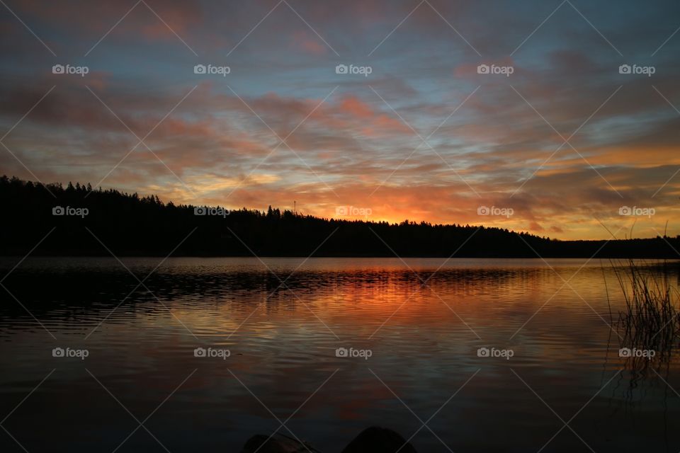 Dawn at the lake