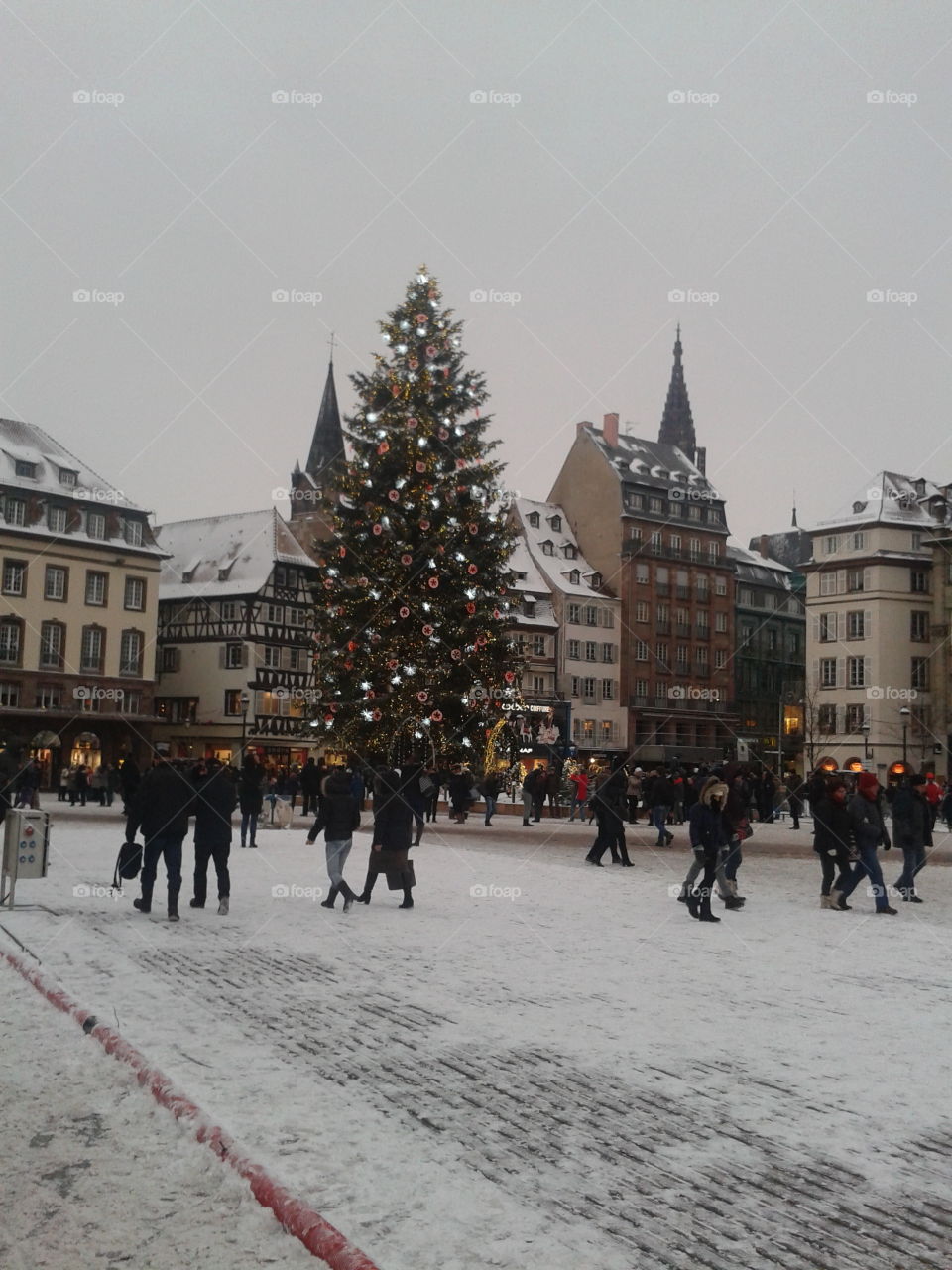 Christmass tree in Strasbourg. achrismas tree in Strasbourg France