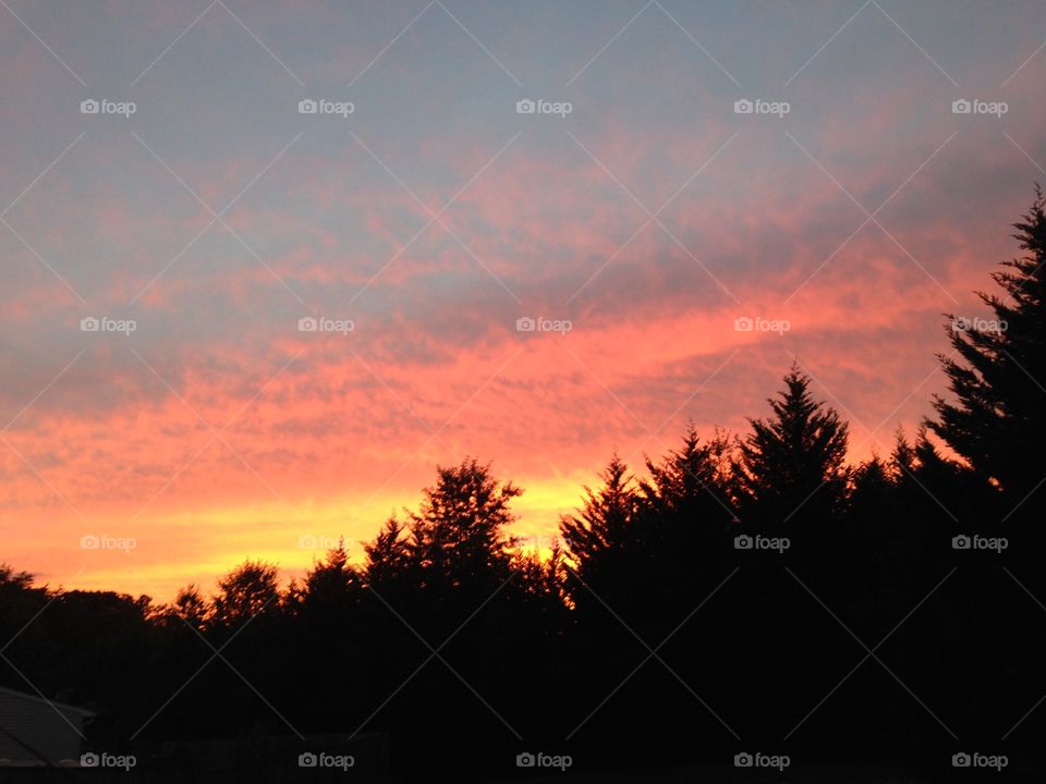 Sunset in Virginia 2