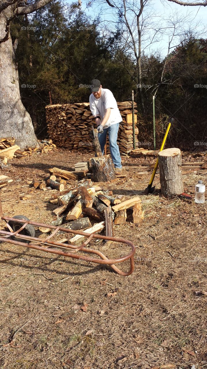 Chopping Wood. Country Life