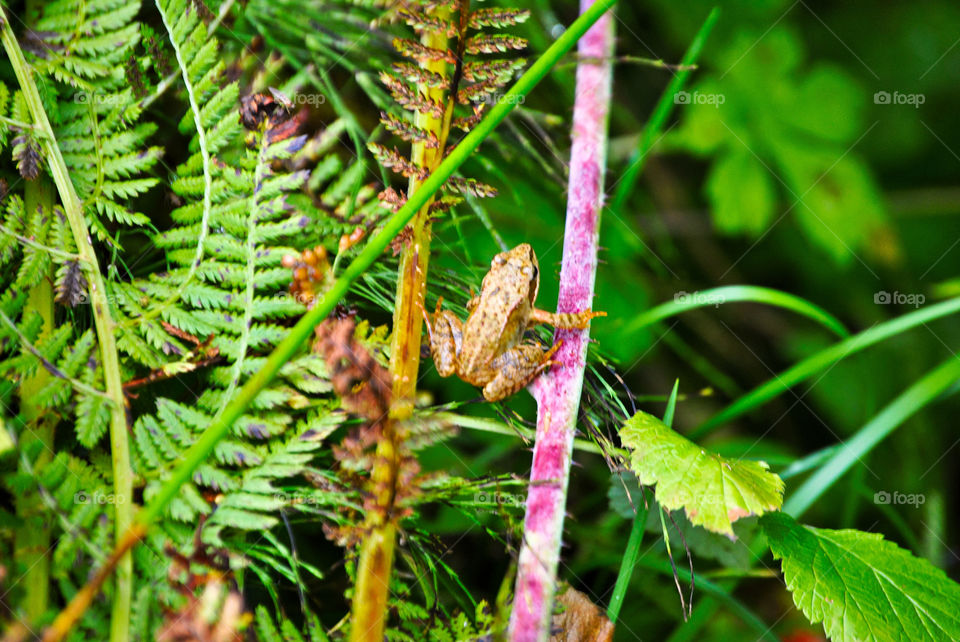 Exploring Switzerland