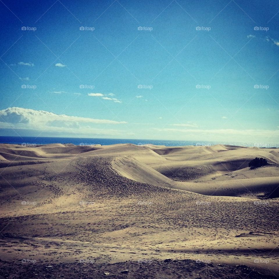 las dunas