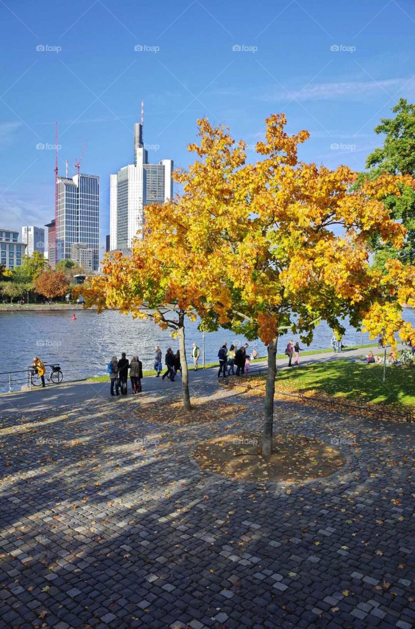 Autumn. City. River